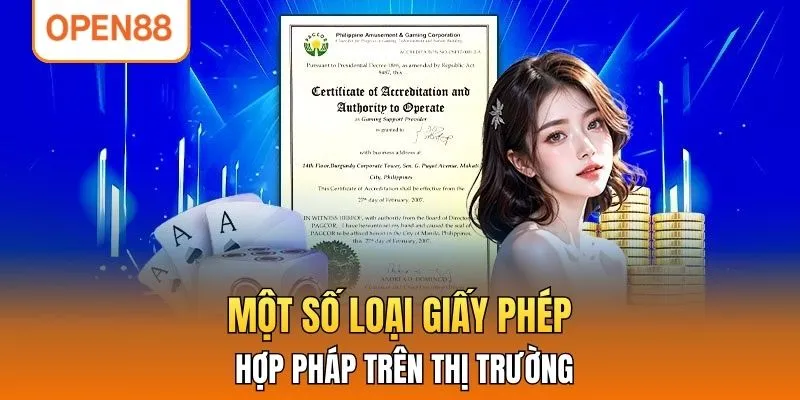 Một số loại giấy phép hợp pháp trên thị trường