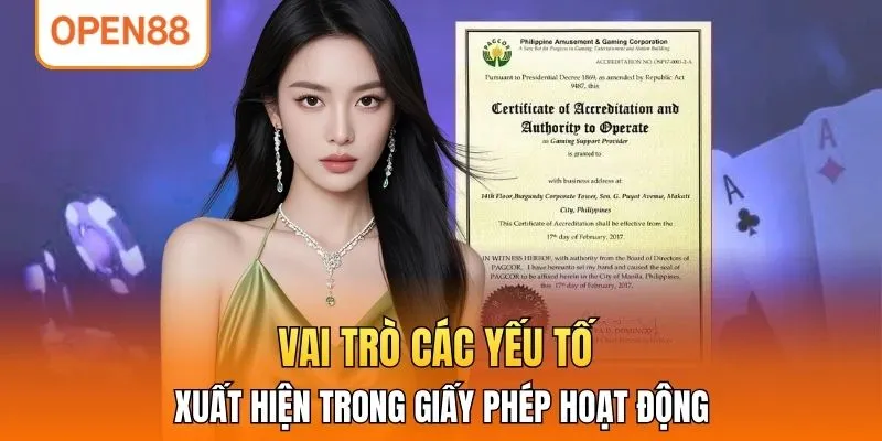 Vai trò các yếu tố xuất hiện trong giấy phép hoạt động